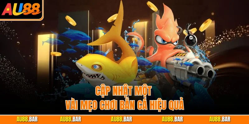 Cập nhật một vài mẹo chơi bắn cá hiệu quả